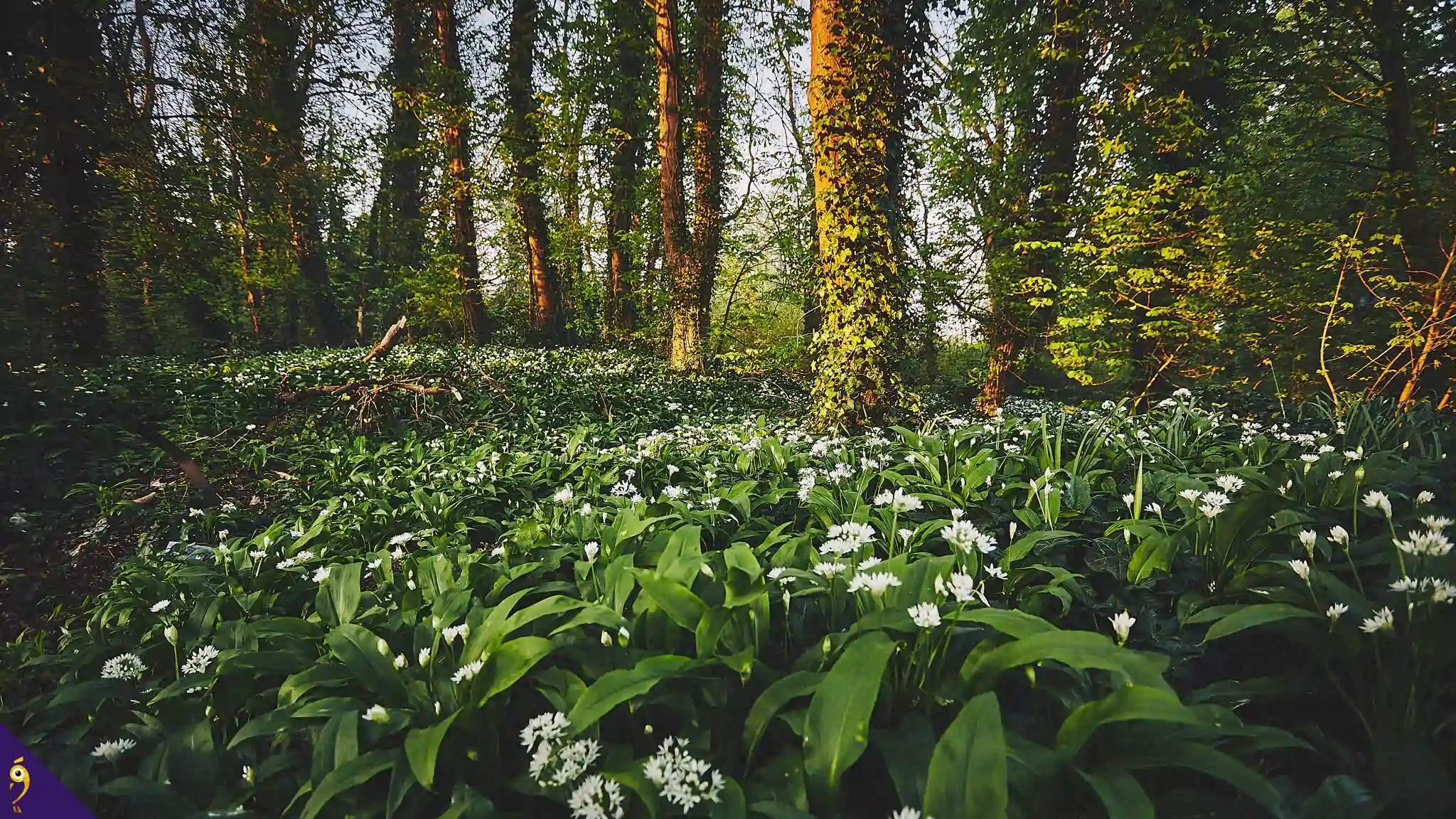 Gallery - Places image 74