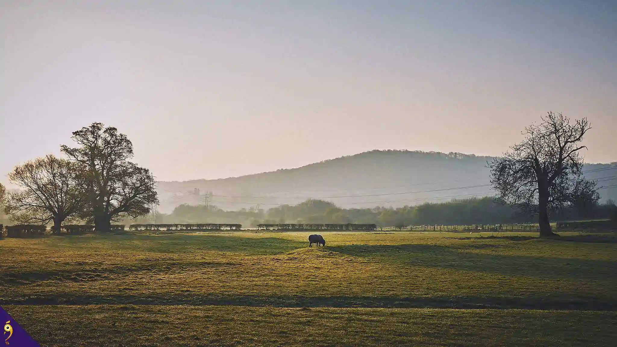 Gallery - Places image 73