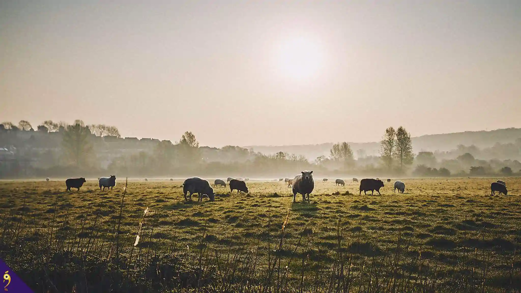 Gallery - Places image 72