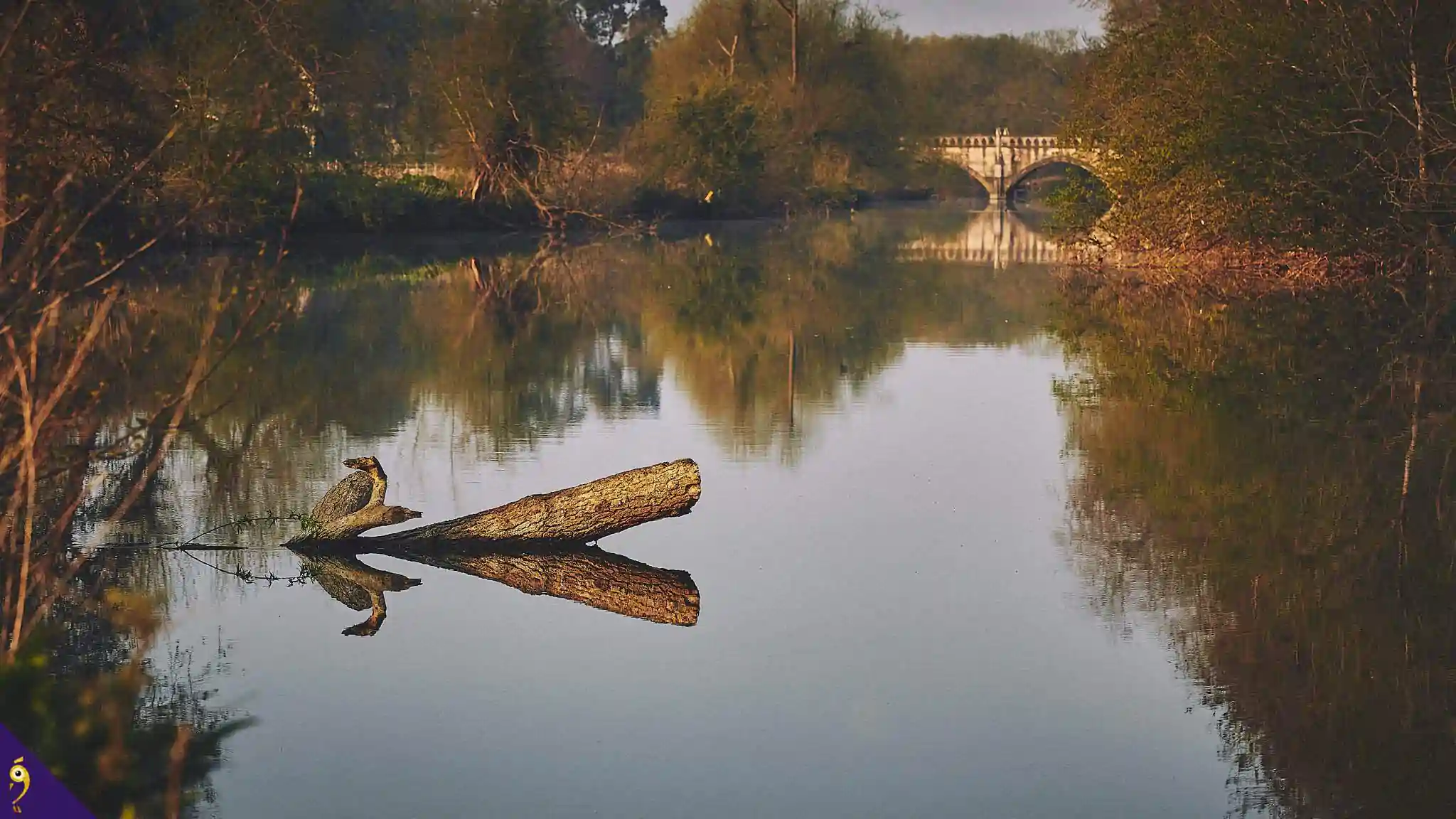 Gallery - Places image 71