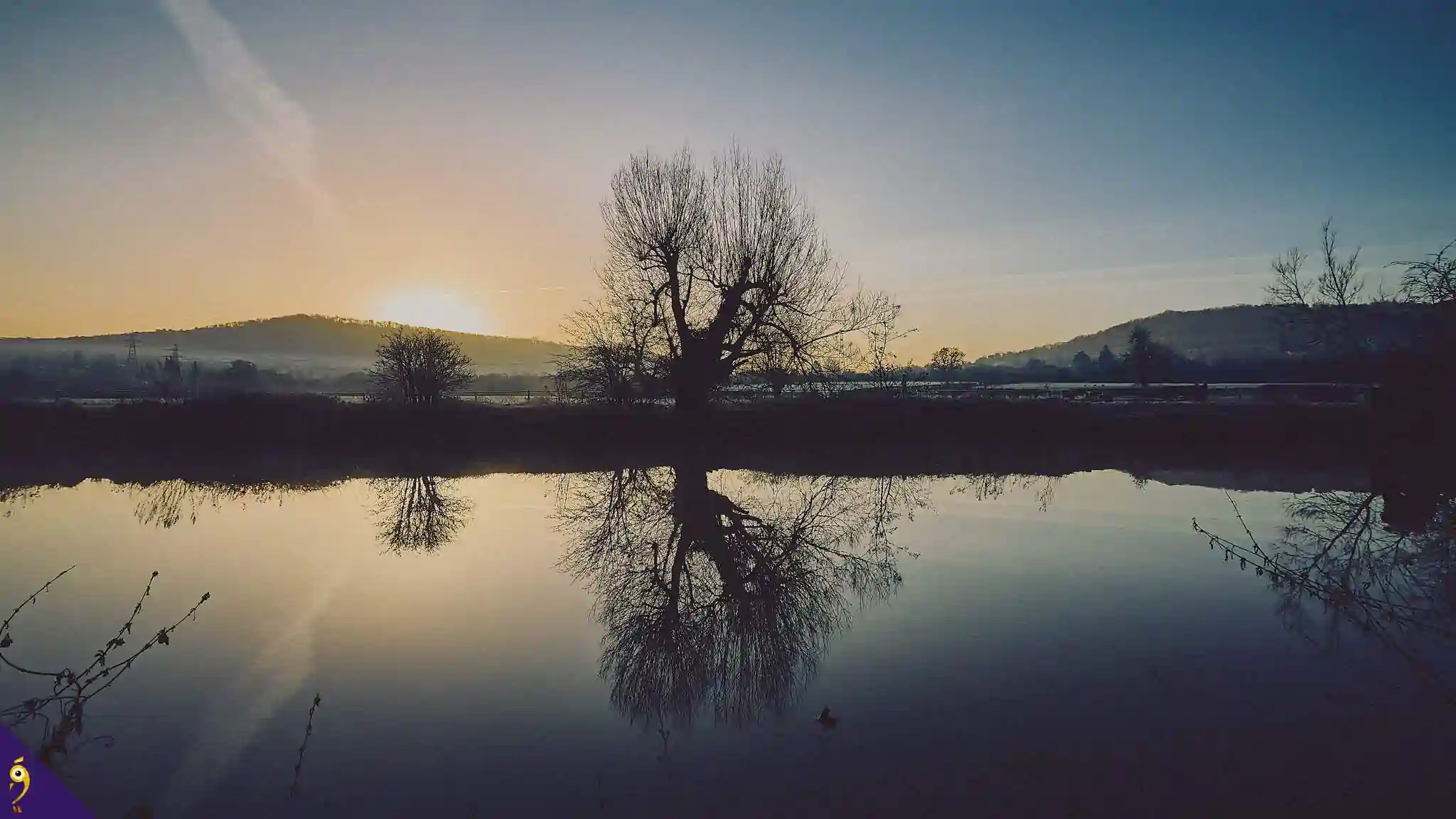 Gallery - Places image 66