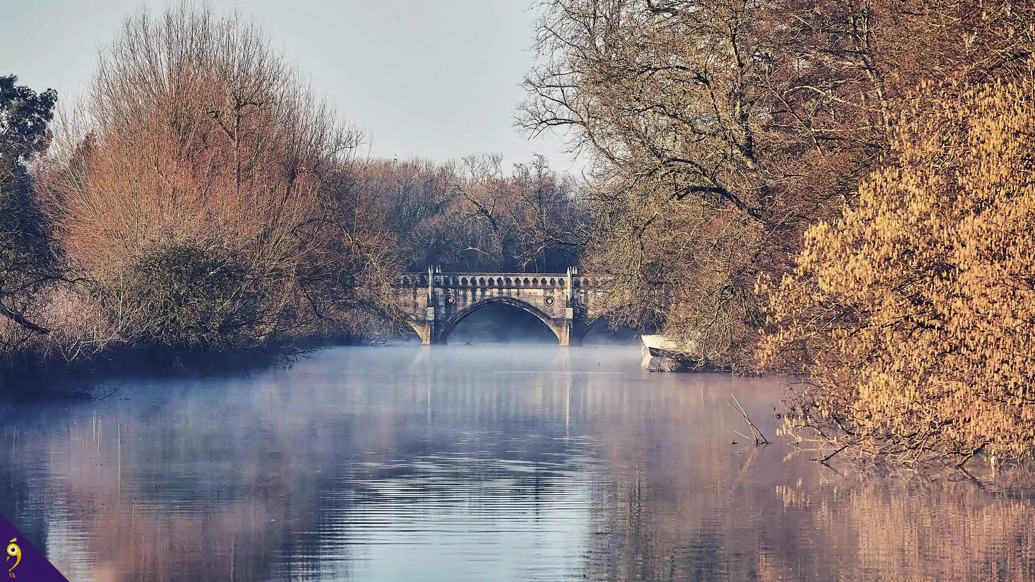 Gallery - Places image 65