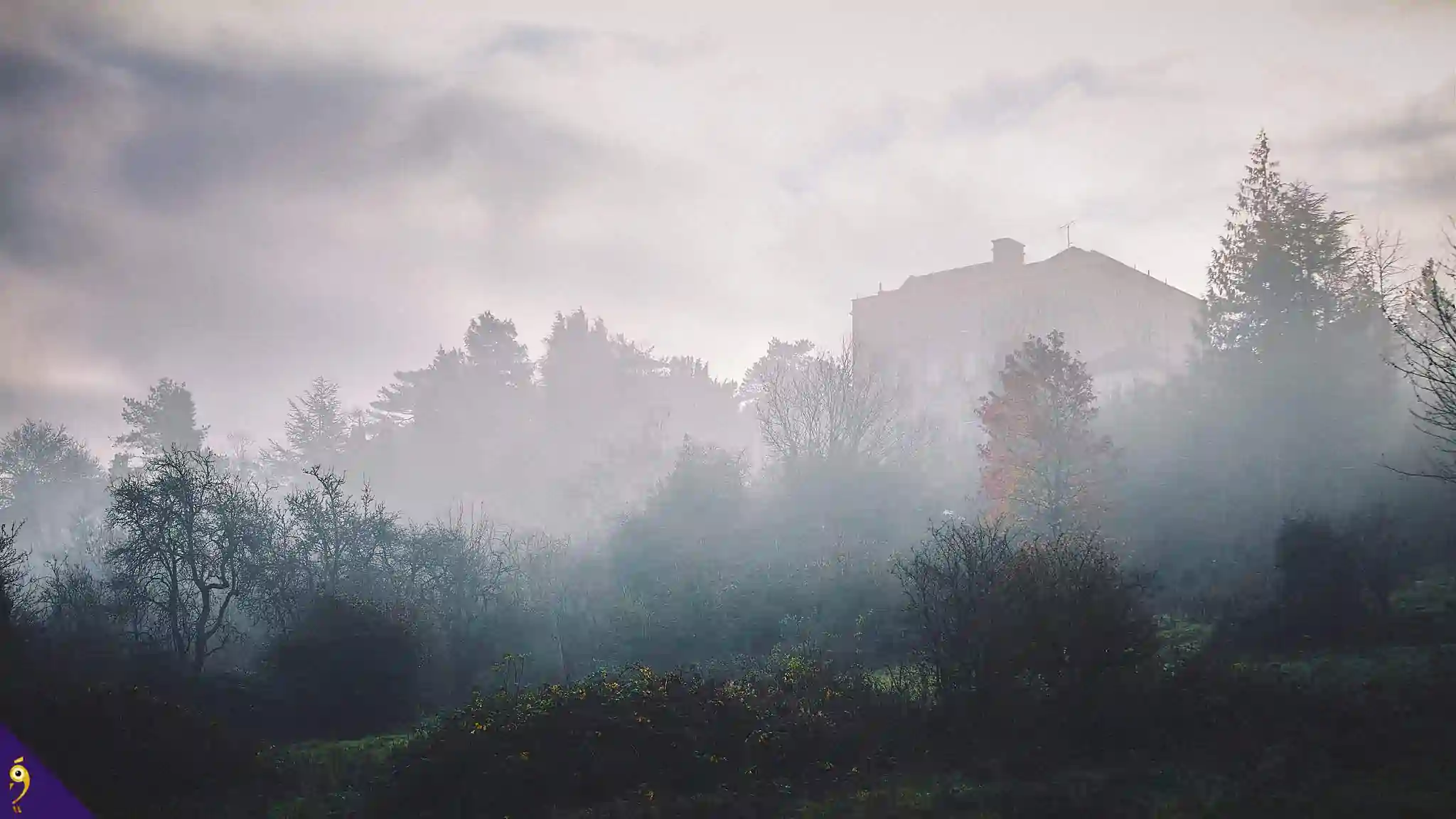 Gallery - Places image 61