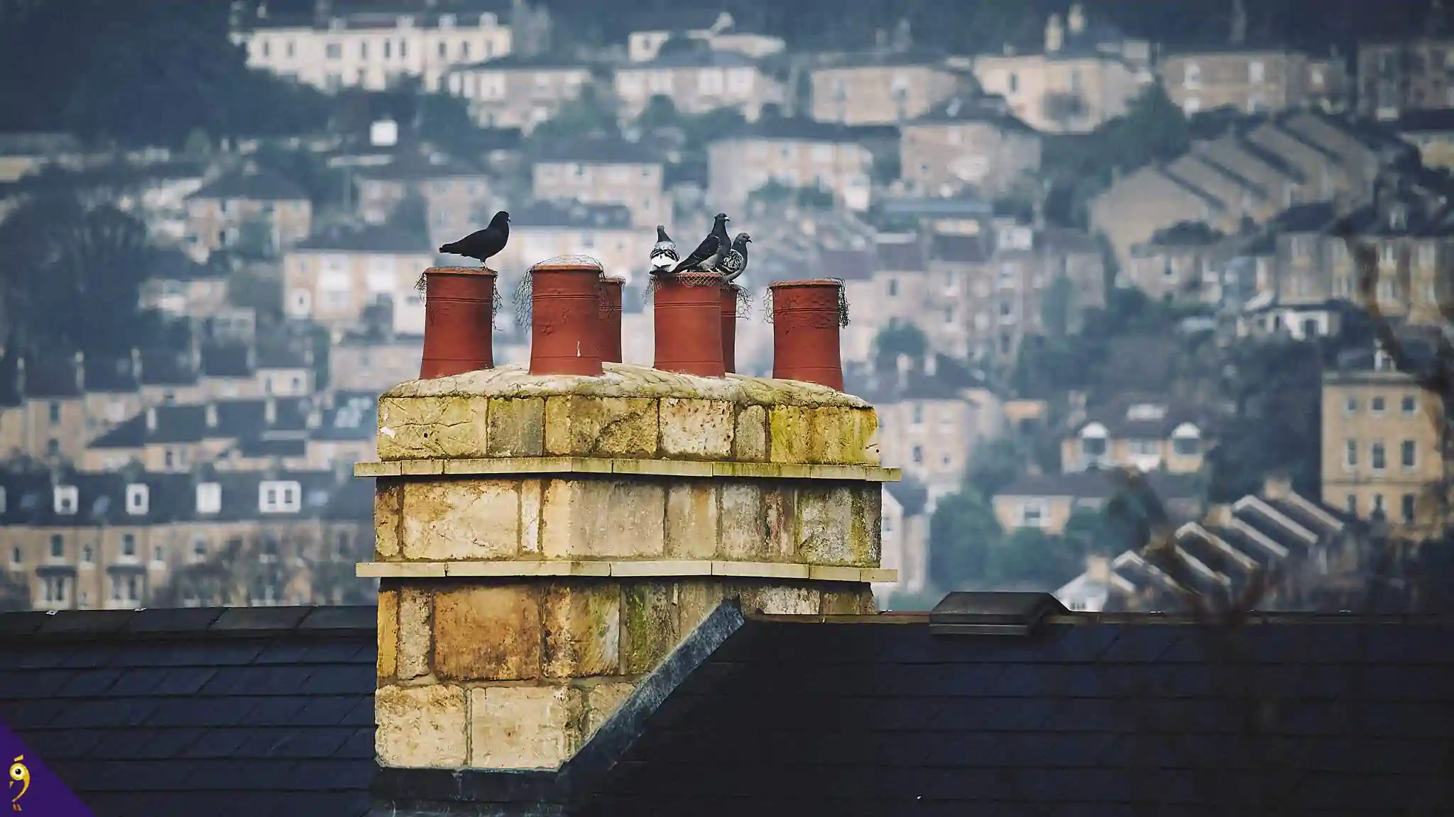 Gallery - Places image 60