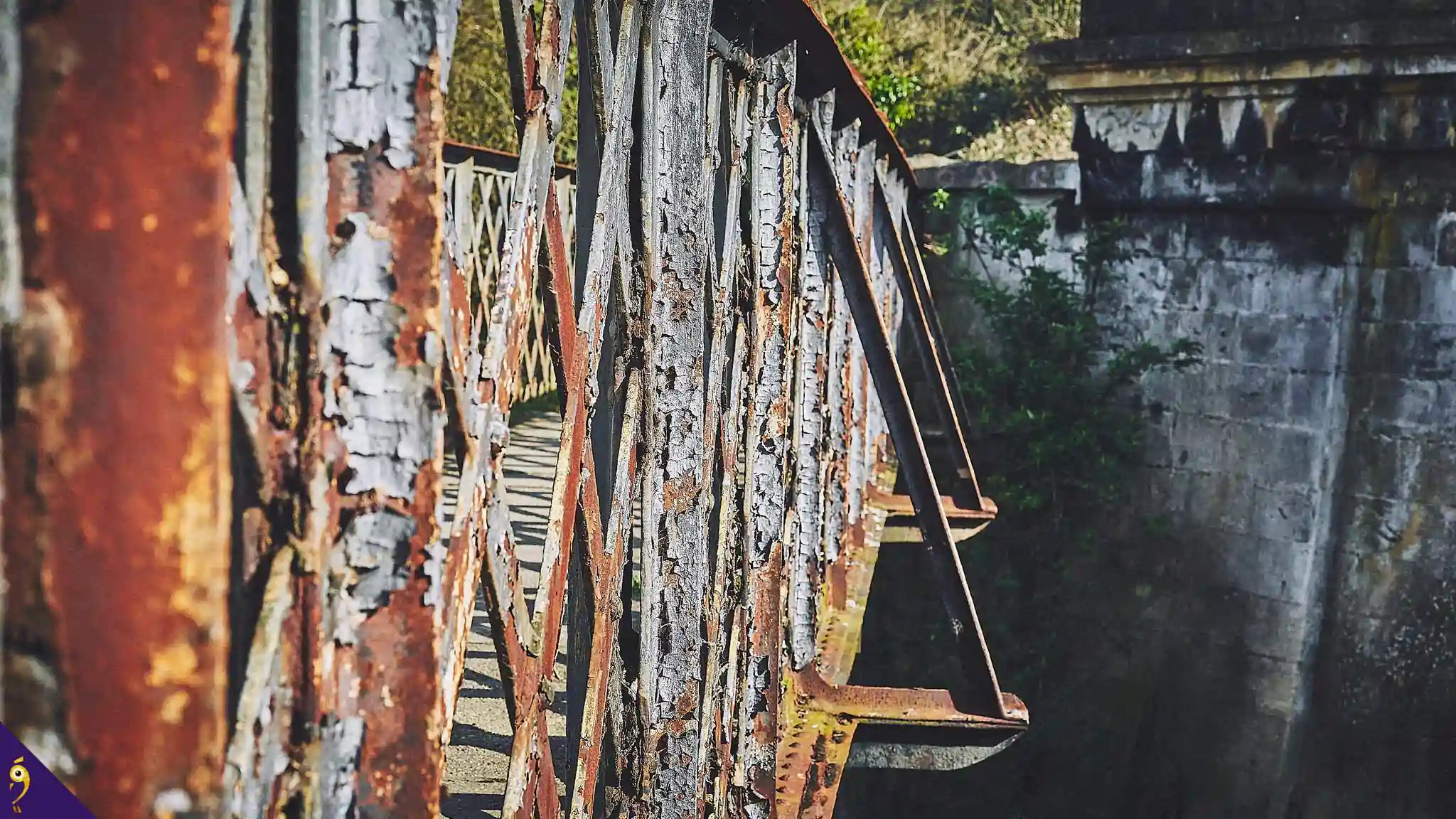 Gallery - Places image 57