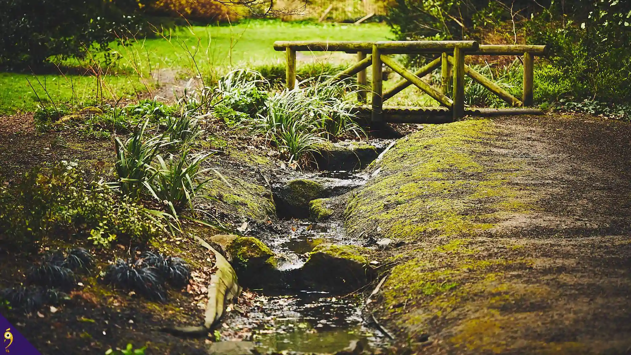 Gallery - Places image 51