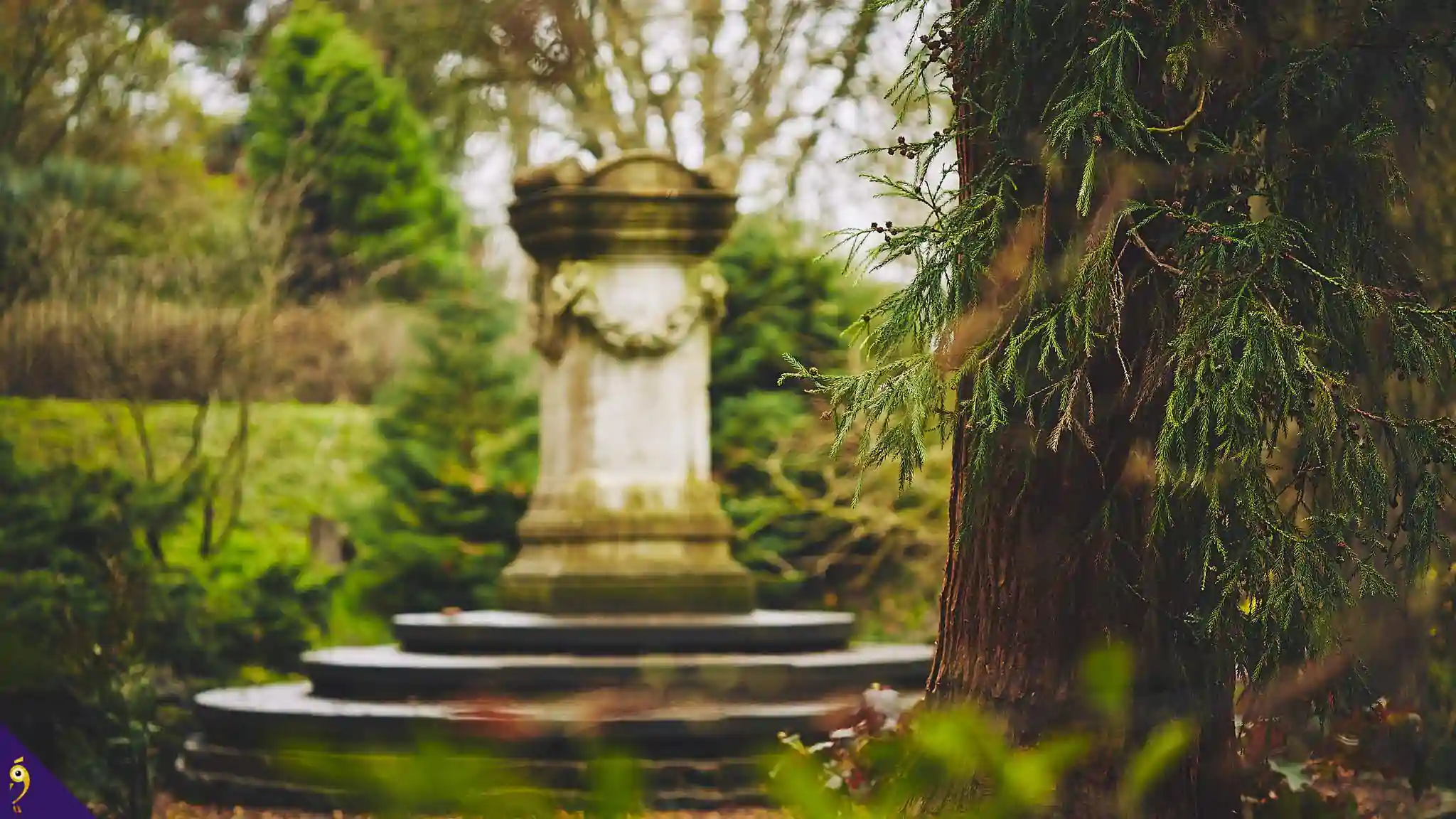 Gallery - Places image 50