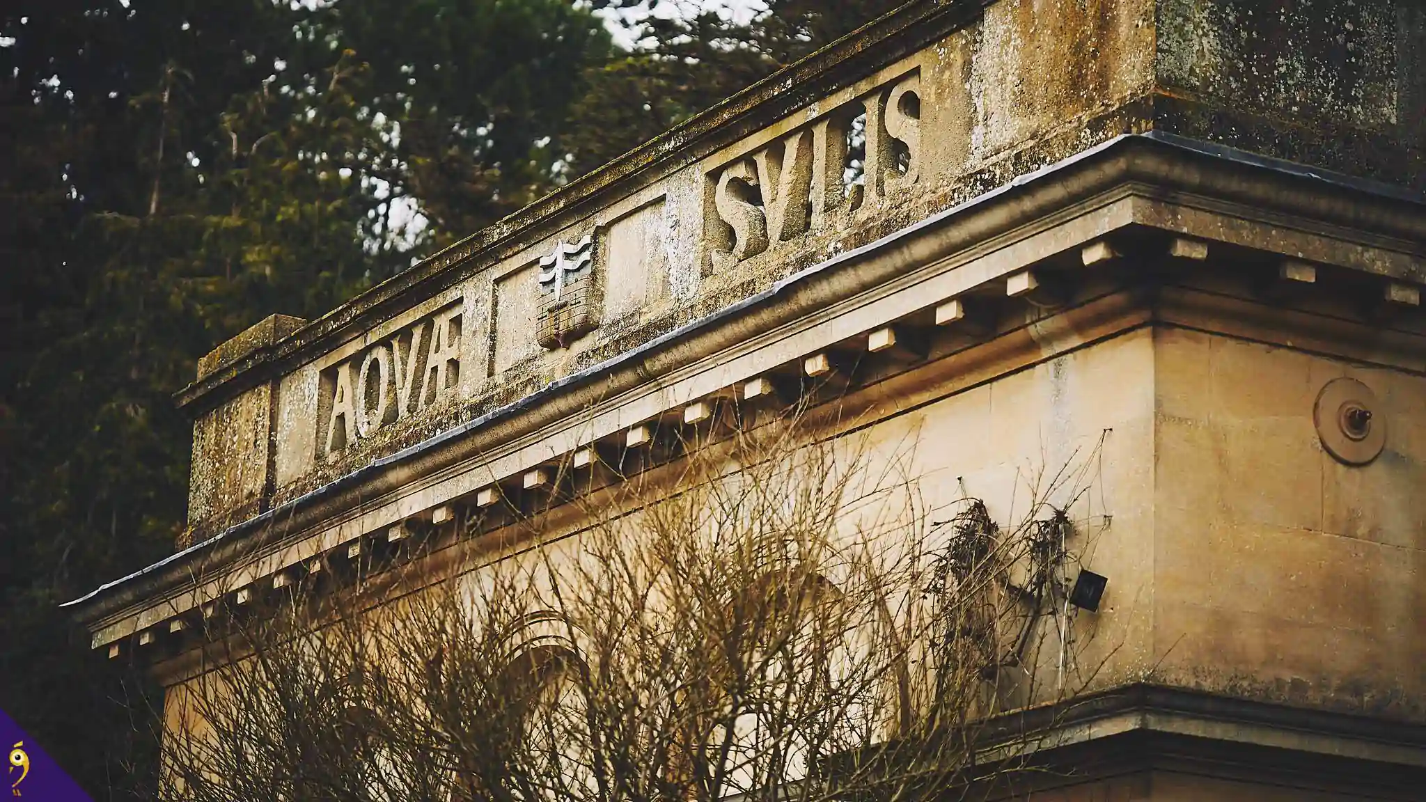 Gallery - Places image 49