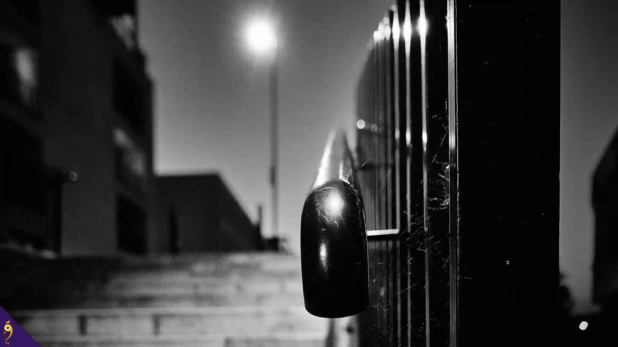 Gallery - Places image 42