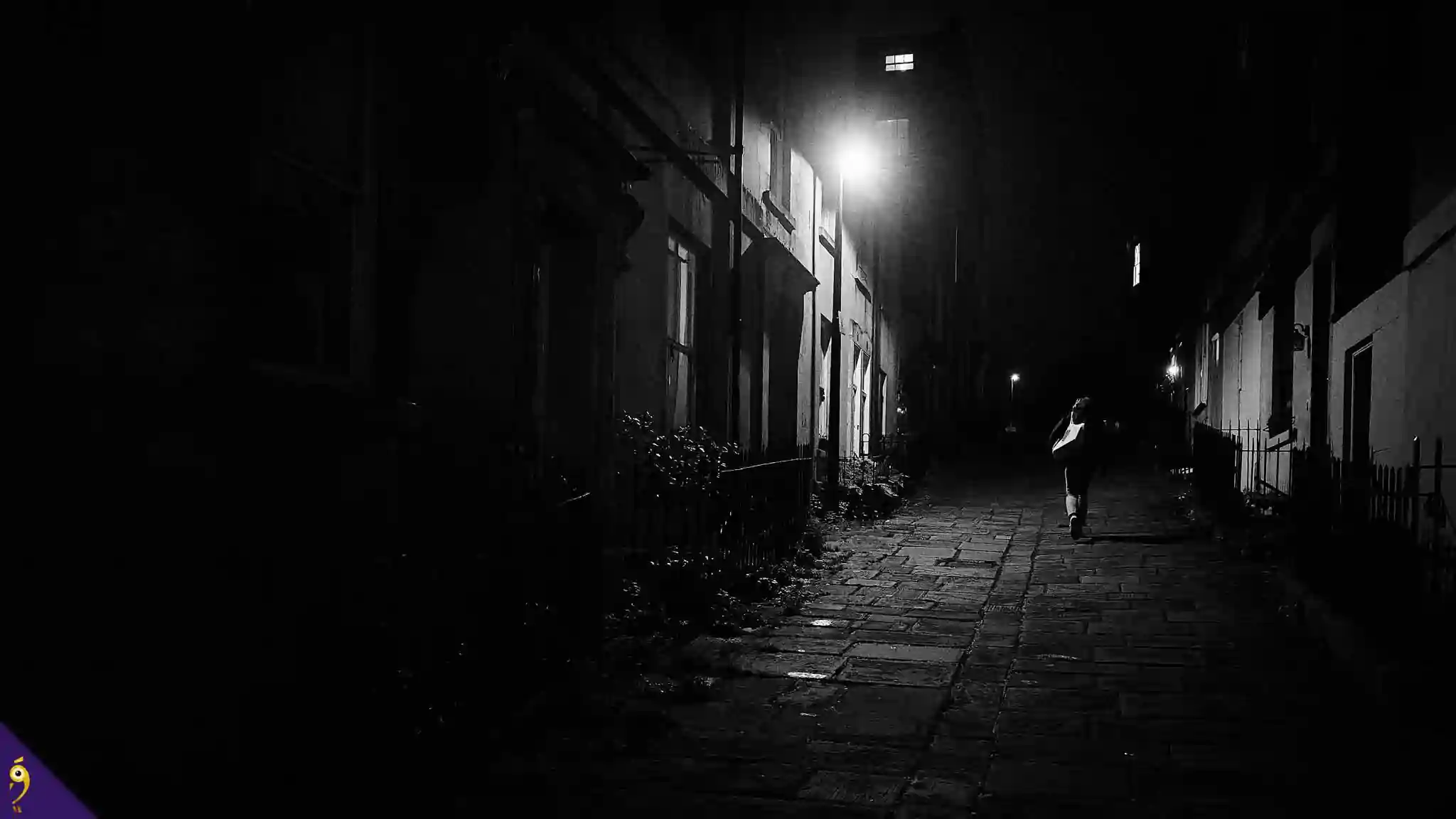 Gallery - Places image 33