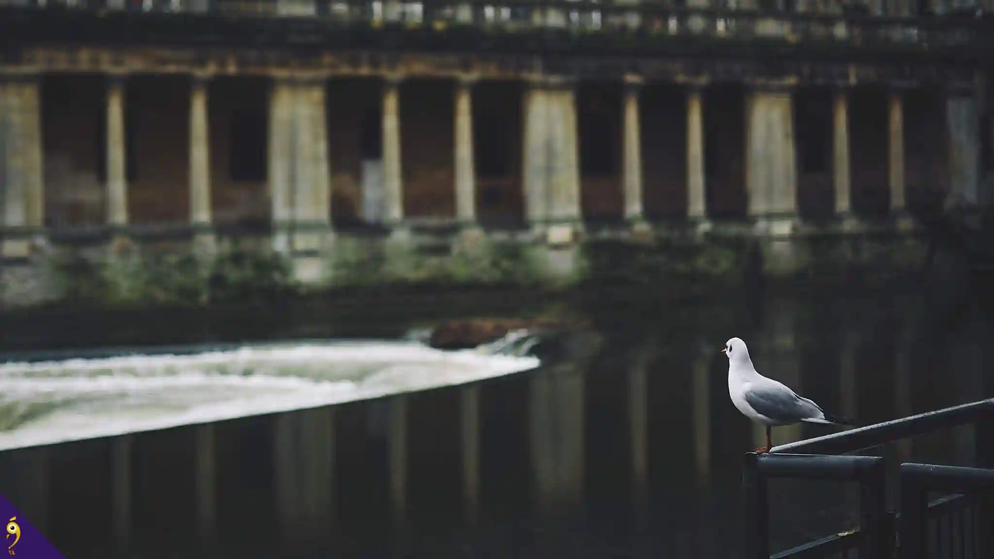 Gallery - Places image 24