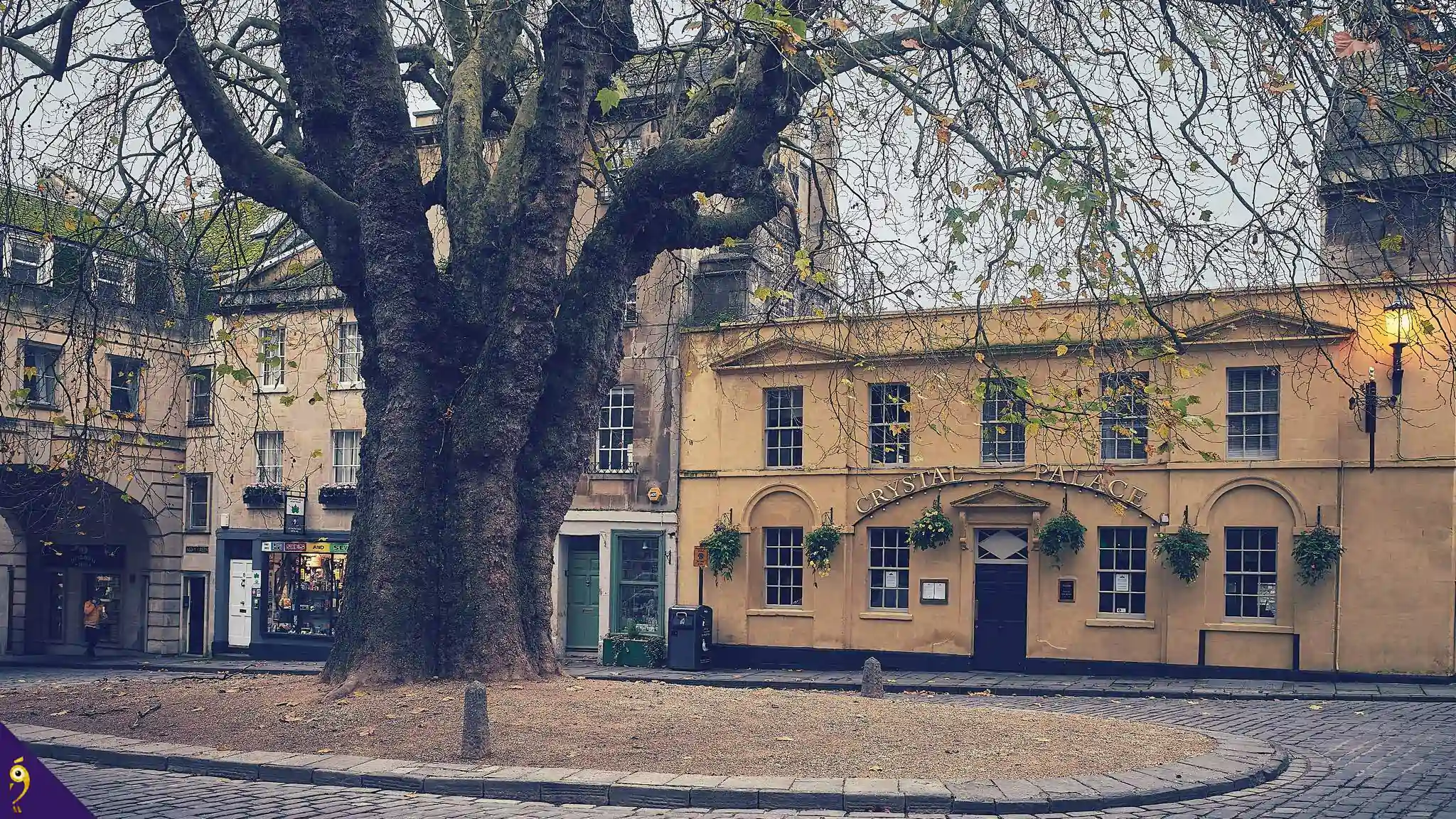 Gallery - Places image 17