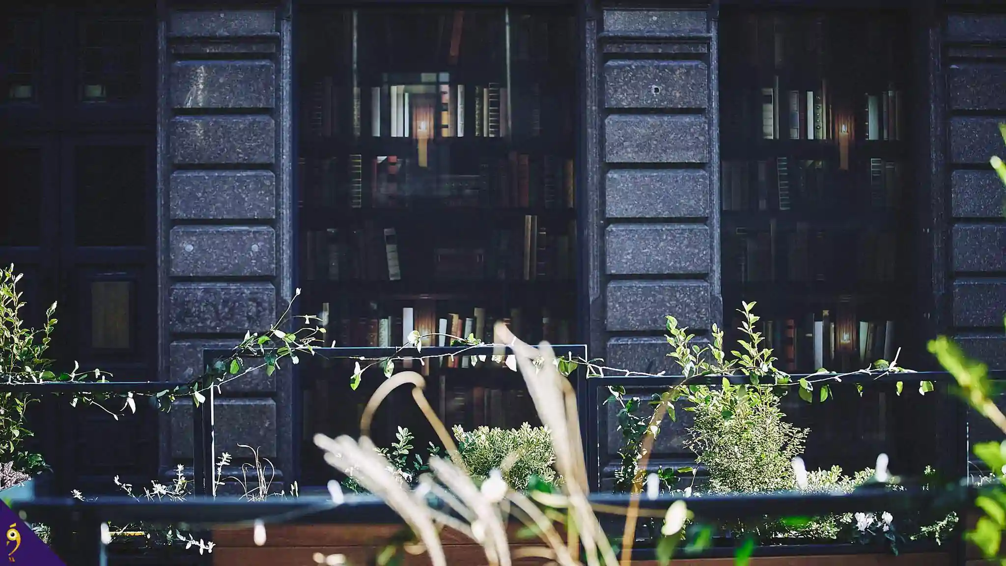 Gallery - Places image 9