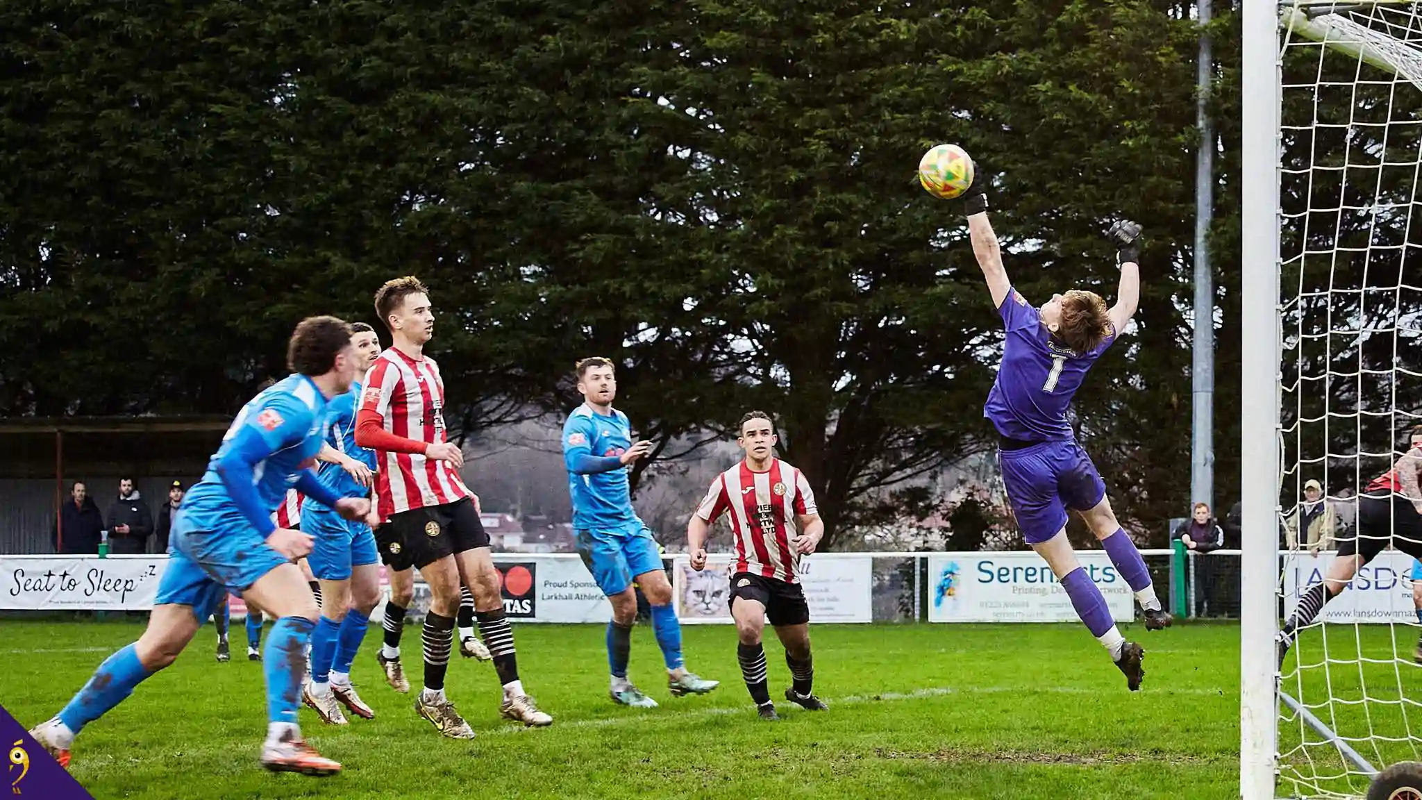 Gallery - Events image 91