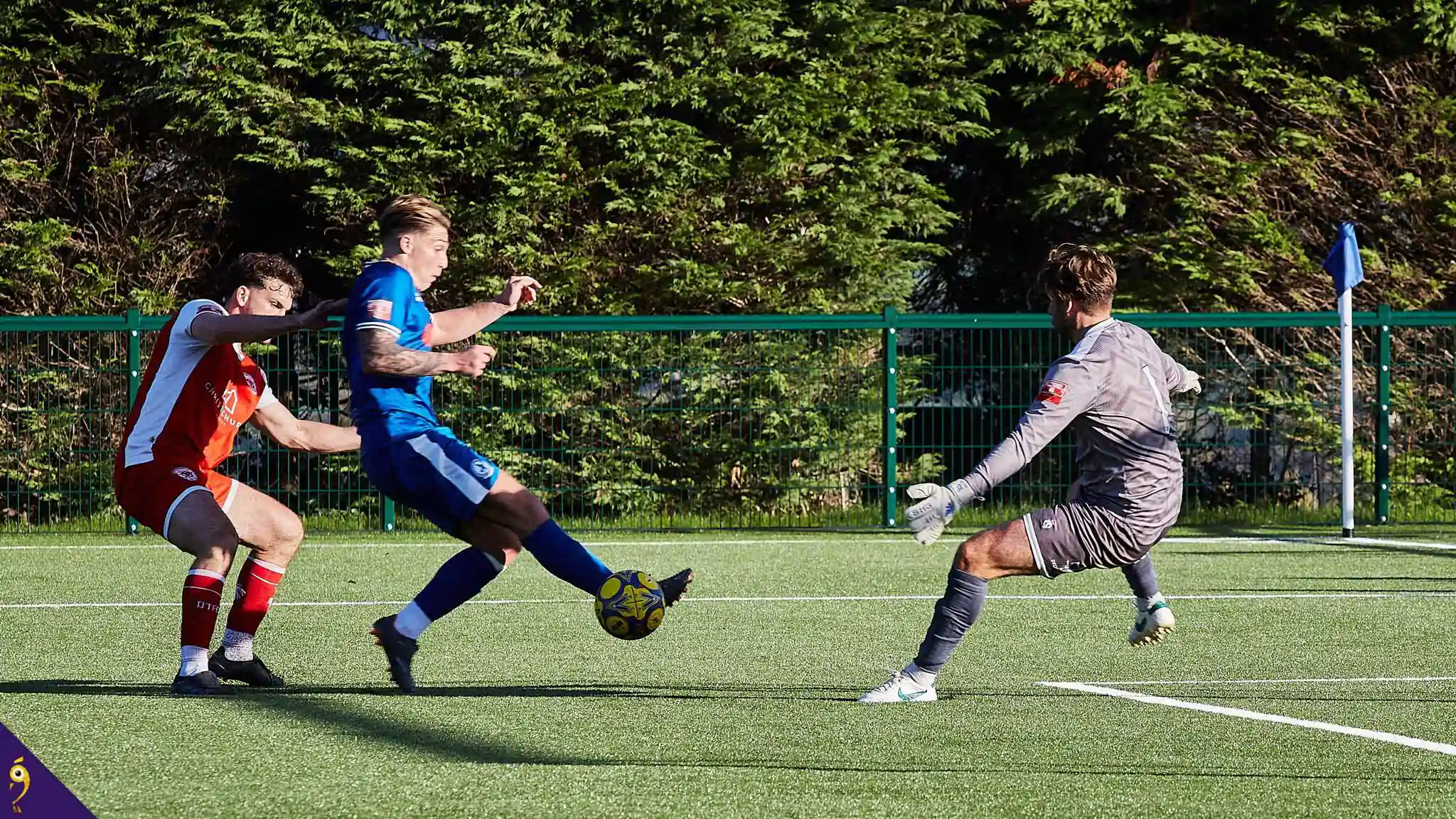 Gallery - Events image 67