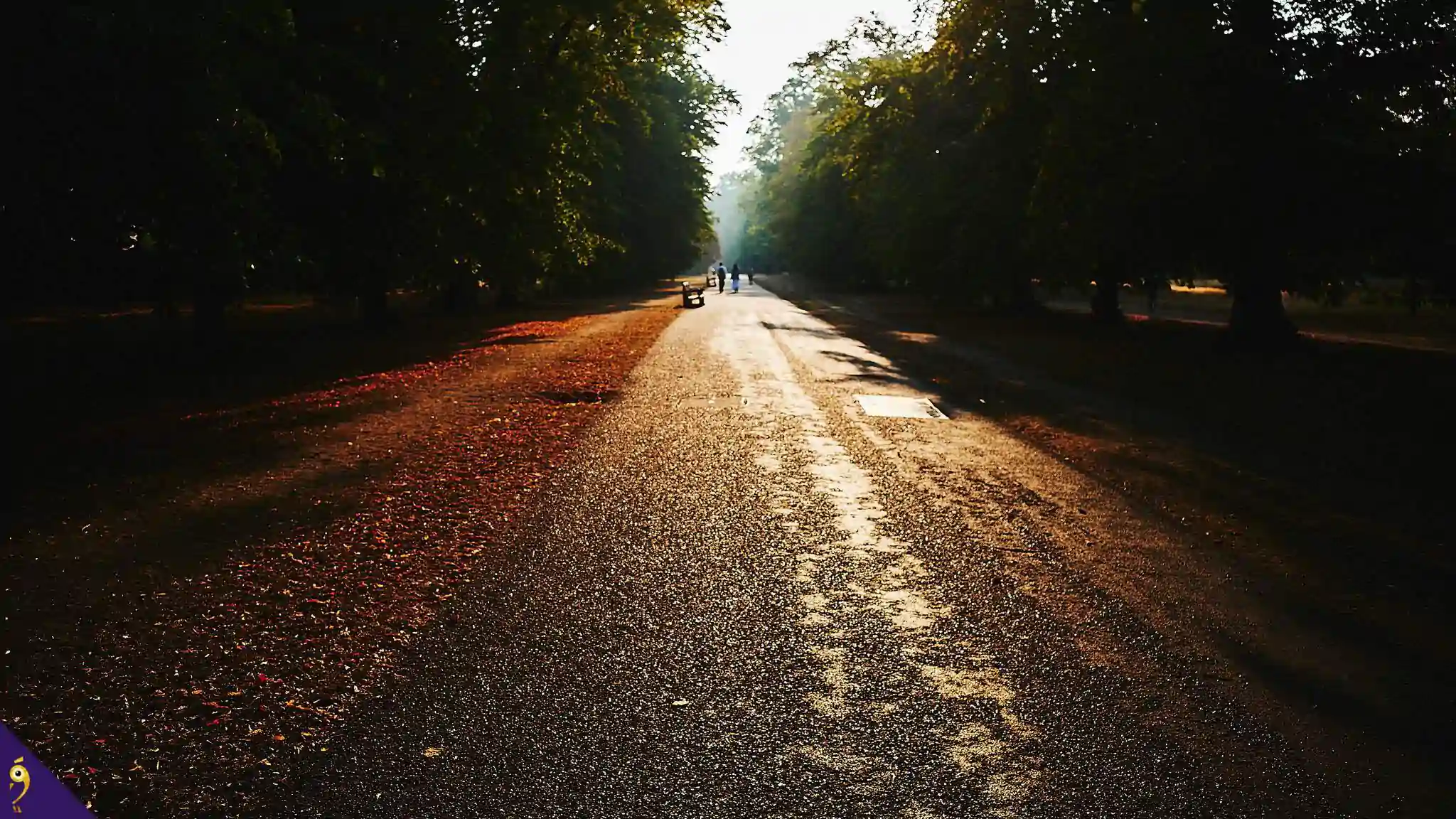 Gallery - Places image 112