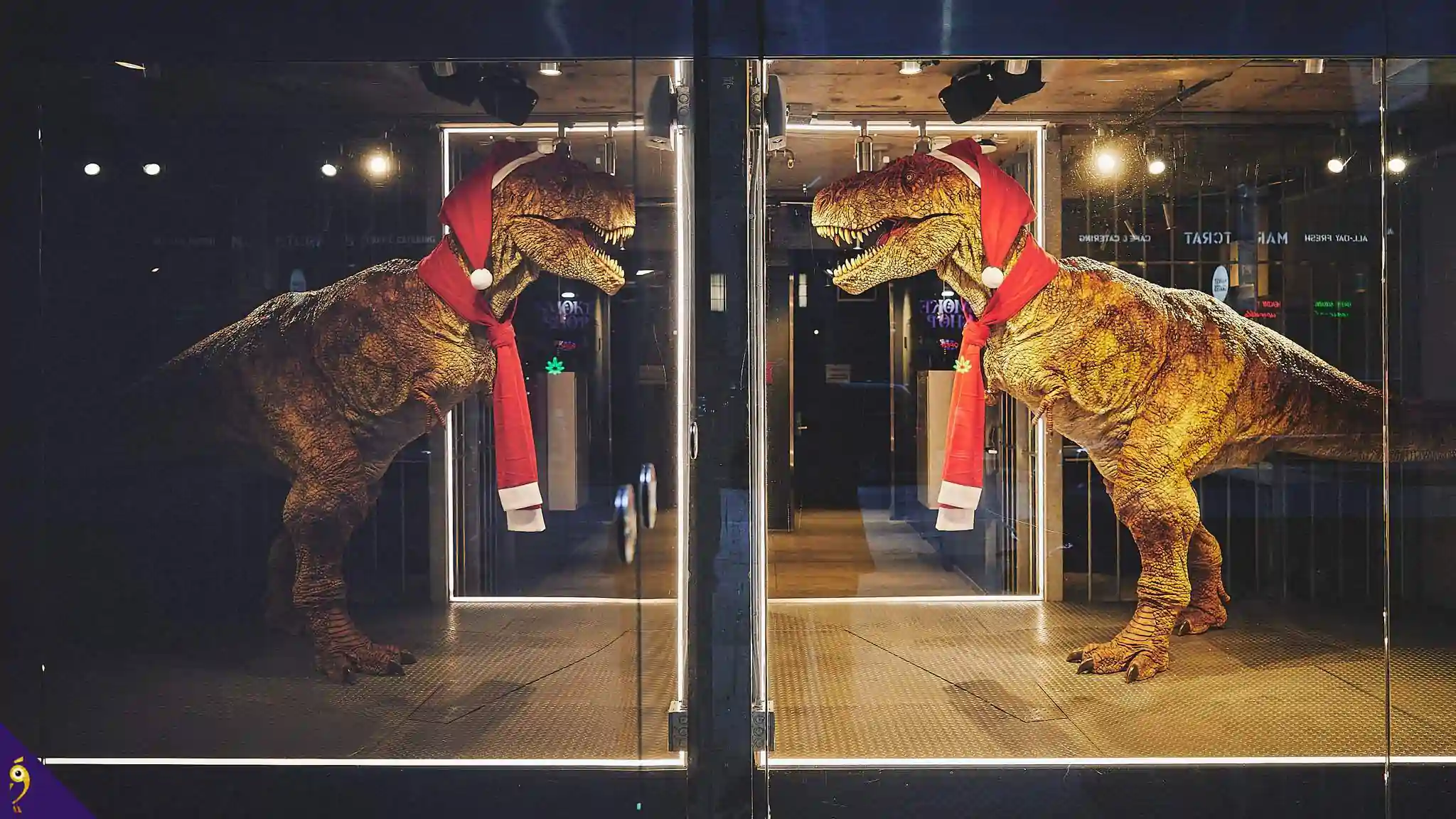 Gallery - Places image 131